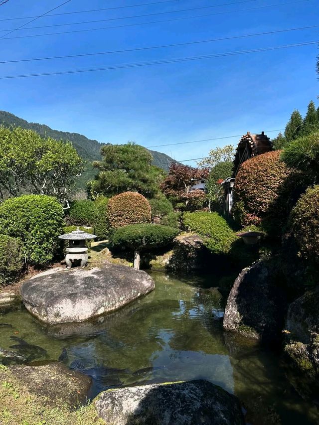 Peace, Pines & Edo Vibes