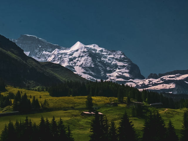 🏔️ 이거 모르고 가면 진짜 후회할 걸요? 융프라우요흐 완벽 정복💚