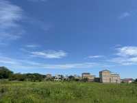 粽香隨海風，節令入村落——端午漫遊湖井頭