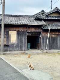 【豊島】ゆっくりと深呼吸。自分を見つめ直すゆったり島時間プラン