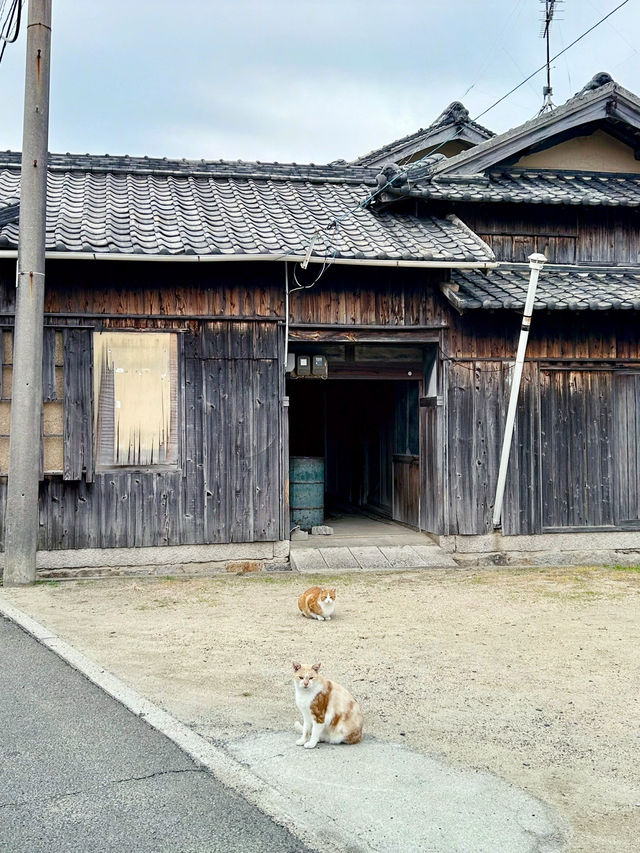 【豊島】ゆっくりと深呼吸。自分を見つめ直すゆったり島時間プラン