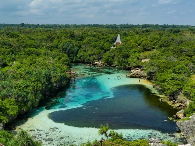 What do you see in the lagoon?