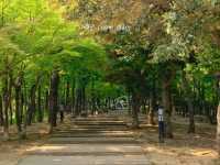 늦봄나들이, 수릉원과 민속박물관에서의 하루 🌿🍀