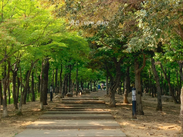 늦봄나들이, 수릉원과 민속박물관에서의 하루 🌿🍀