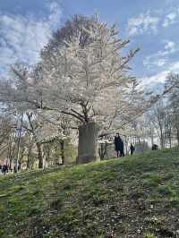 Central Park