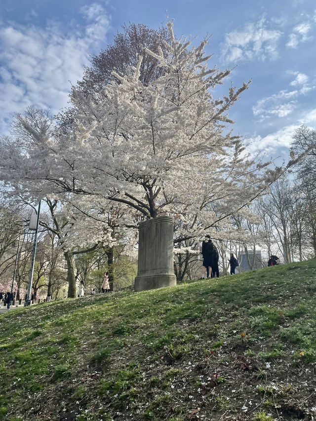Central Park