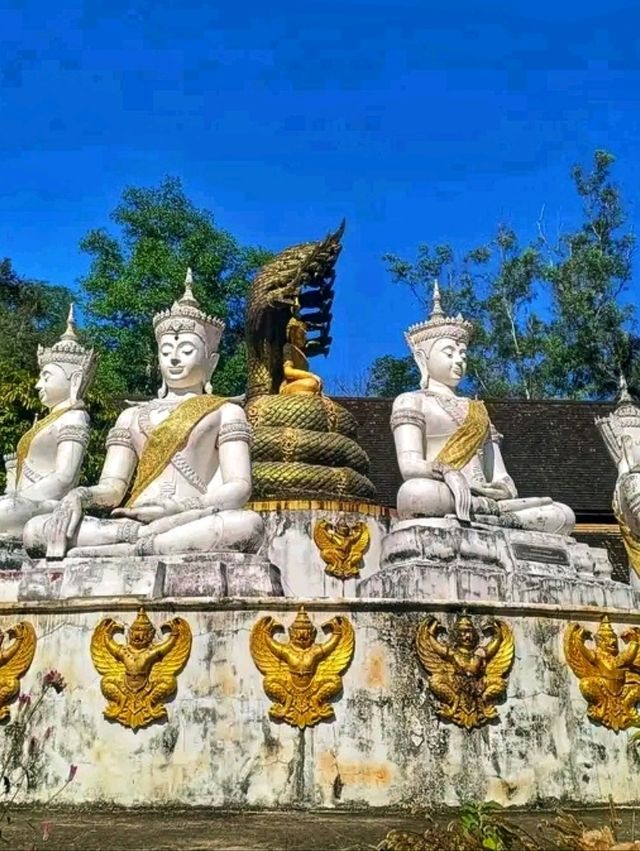 Tham Chiang Dao – A Journey Into Northern Thailand’s Hidden Depths