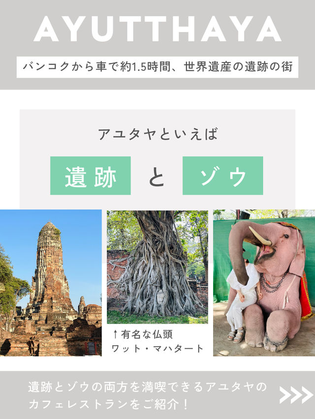 もはや観光名所 タイ カフェ 6選