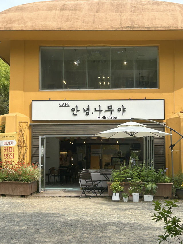 🌳 바다와 숲이 어우러진 힐링 카페, 안녕나무야
