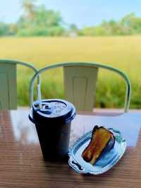 Grindsize Evergreen CNX ☕🌾