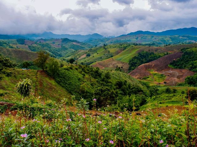 ขุ​ น​ ส​ ถ​ า​ น​ | Road Trip​ น่าน​ 🚙⛰️🍃