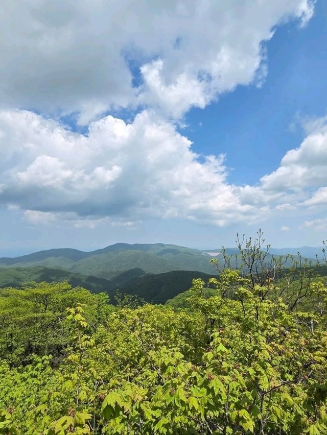 Wandering Through the Clouds at Heavenly Garden