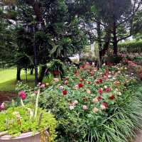 คาเฟ่กลางสวนกุหลาบ -  Fleur Cafe & Eatery