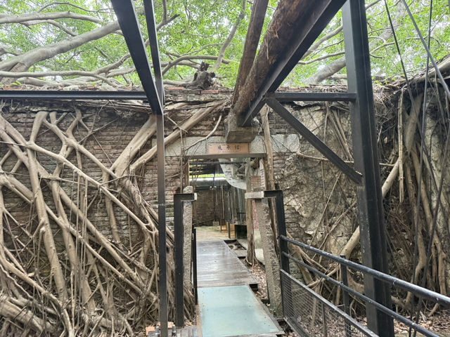 安平樹屋