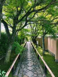 🍃 静けさに包まれた美の小径  京都・鷹峯「光悦寺」