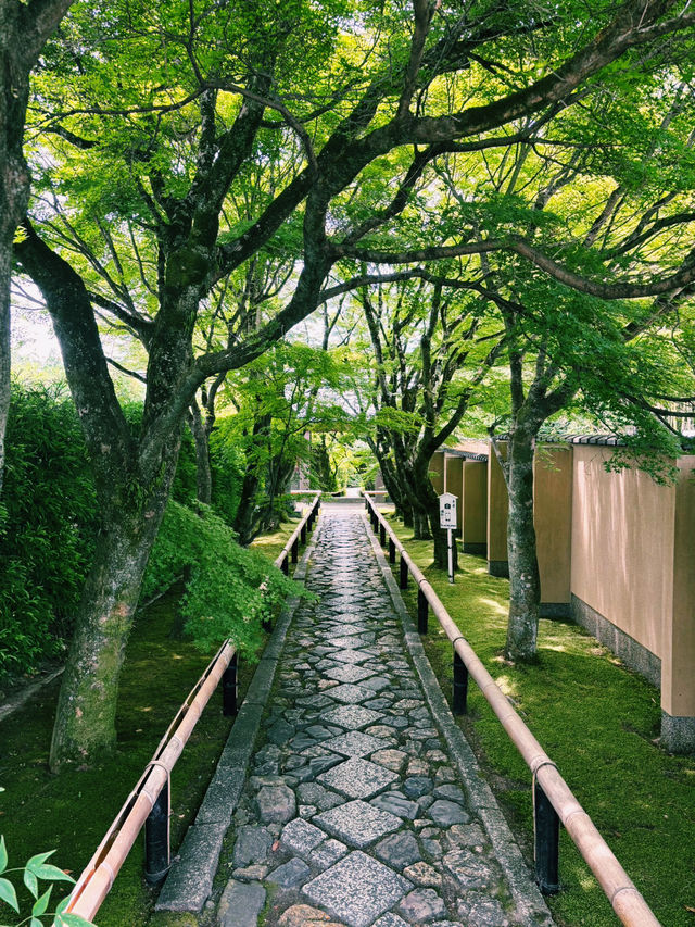 🍃 静けさに包まれた美の小径  京都・鷹峯「光悦寺」