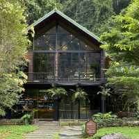  Into The Forest Café กระบี่ 