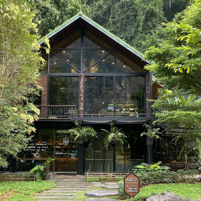  Into The Forest Café กระบี่ 