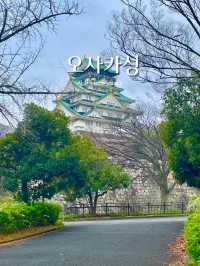 🏯 오사카 베스트 여행지! 오사카성 200% 즐기는 방법