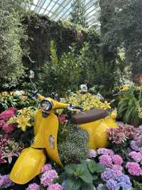 Flower Dome - Garden by the bay