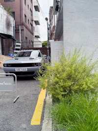 AWESOME NEEDS HOUSE 구경 추천 드려요