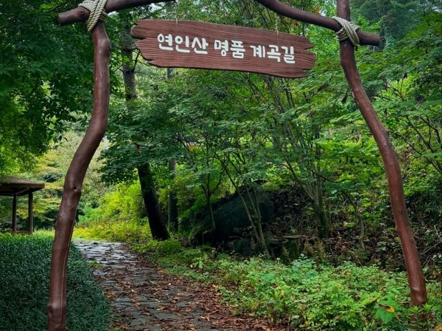 Yeoninsan Summit Was a Vibe