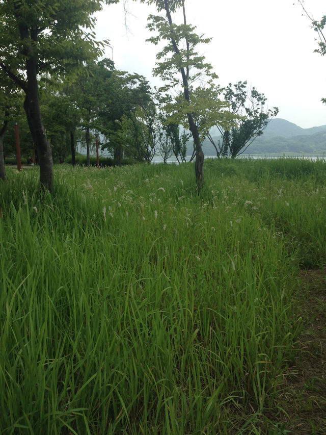 북한강변의 풍경