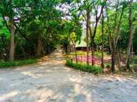 🏞️ สวนรุกขชาติวังก้านเหลือง เที่ยวลพบุรี