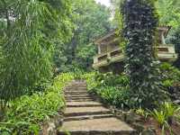 해외여행 브라질에서 가장 큰 식물원 Botanical Garden of Rio de Janeiro