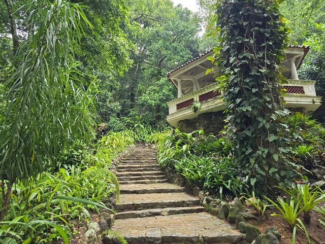 해외여행 브라질에서 가장 큰 식물원 Botanical Garden of Rio de Janeiro