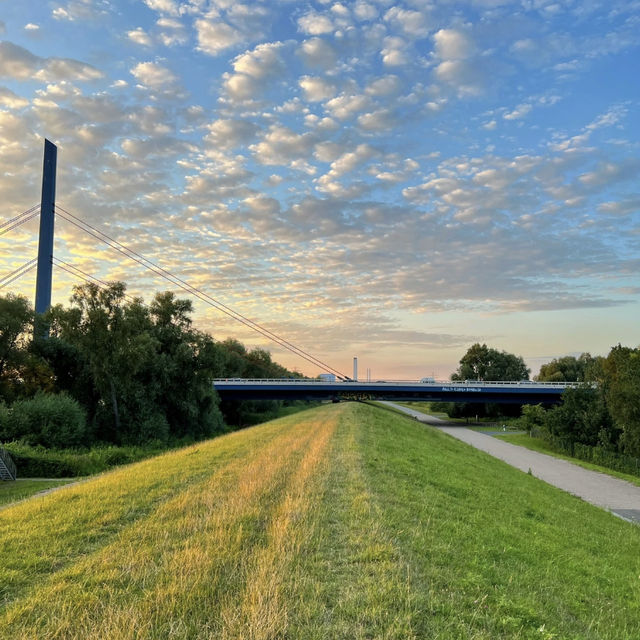 Sunset Cycling Bliss at Kaltehofe, Hamburg! 🚴‍♀️🐑🌅