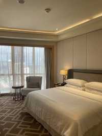Suite Indulgence in the Skyline Embrace