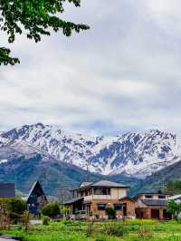 วิวจาก Snow Peak Hakuba
