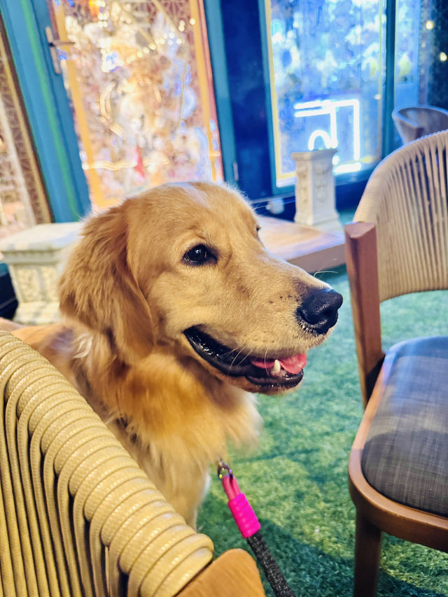 元朗LIVEBAND+狗狗友善🐕～泰國餐廳🔥