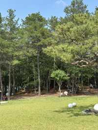 🌿 브리프 저니: 자연 속 휴식과 문화🌳