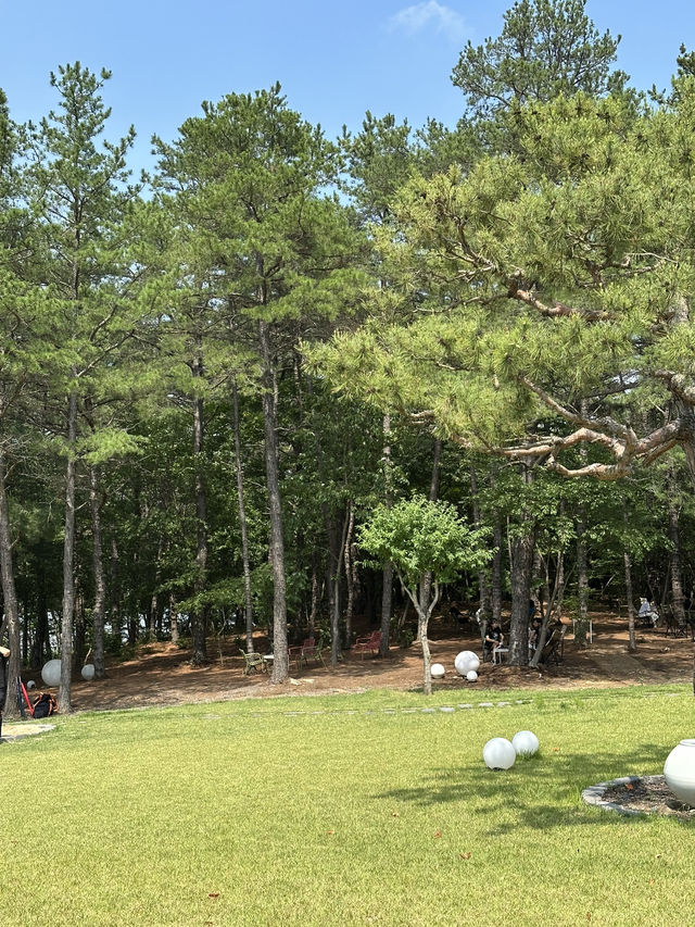 🌿 브리프 저니: 자연 속 휴식과 문화🌳