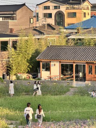서울 근교 여행, 수원 원데이 트립