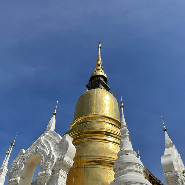 วัดสวนดอก วัดสำคัญคู่เมืองเชียงใหม่