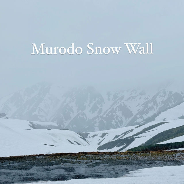 หิมะครั้งแรกของฉัน ณ กำแพงหิมะ Murodo Snow Wall 