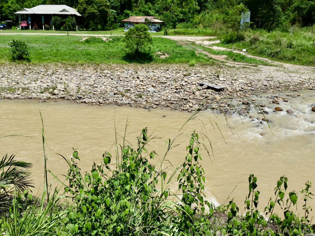 A misty silence: retreating into the woods of Sungai Lembing