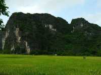 Tam Coc - Golden fields and timeless beauty 🌾