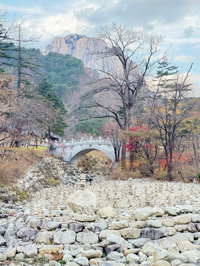 🍁 설악산 당일치기 여행기 – 단풍, 케이블카, 신흥사까지 완벽 루트!