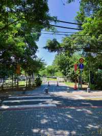 🚴‍♀️ 桃林鐵馬道：藏身虎頭山旁的森林單車路，一場綠意與時光的輕旅行