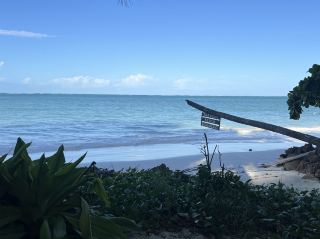Zanzibar: Paje and Nungwi