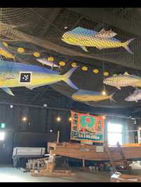 天然の生簀・氷見漁港で海の恵みを満喫🐟