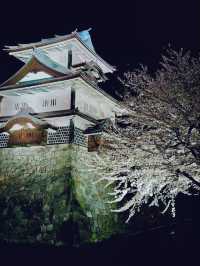 加賀百万石の歴史に触れる🏯金沢城公園でタイムトラベル気分の旅