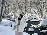 《❄️☃️ 雪之華》走進雪地童話—奧入瀨溪流❄️ #雪地 #冰雪世界