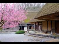 【おさごえ民家園で江戸時代にタイムスリップ】福井の暮らしを感じる旅🏡🕰️