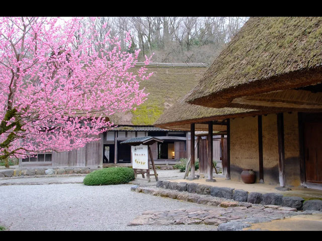 【おさごえ民家園で江戸時代にタイムスリップ】福井の暮らしを感じる旅🏡🕰️