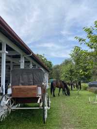 No Riding, Just Vibes: My Chill Day at Equestrian Park Putrajaya